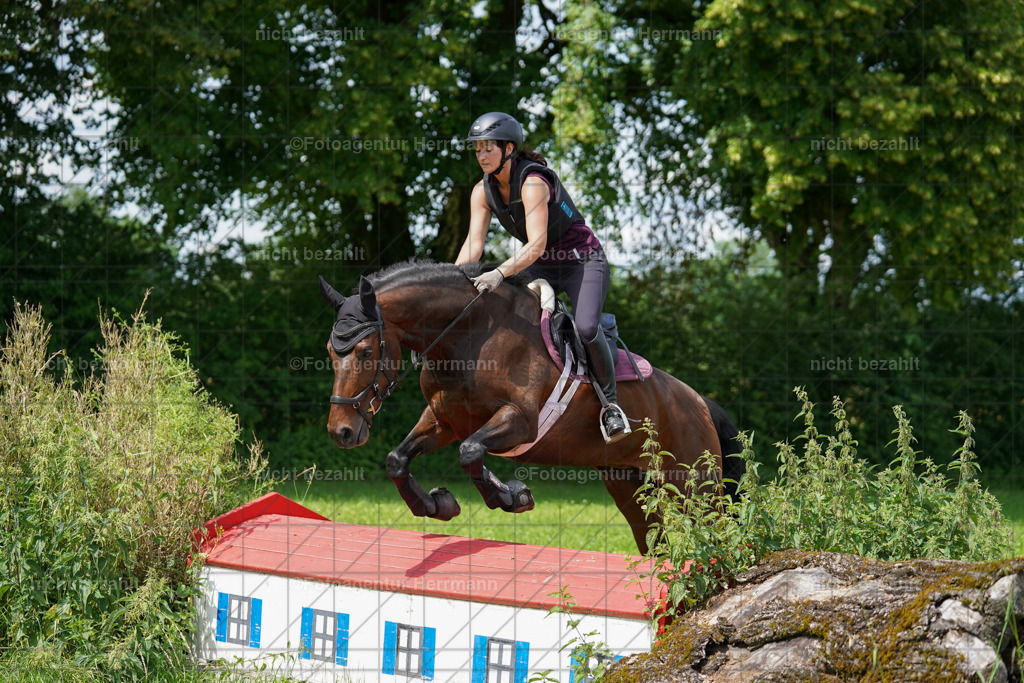 20240622-FAH07648 | Turnierfotografen Bayern, Reitsportbilder aus dem Geländekurs mit Felix Etzel auf dem Gut Waitzacker 2024