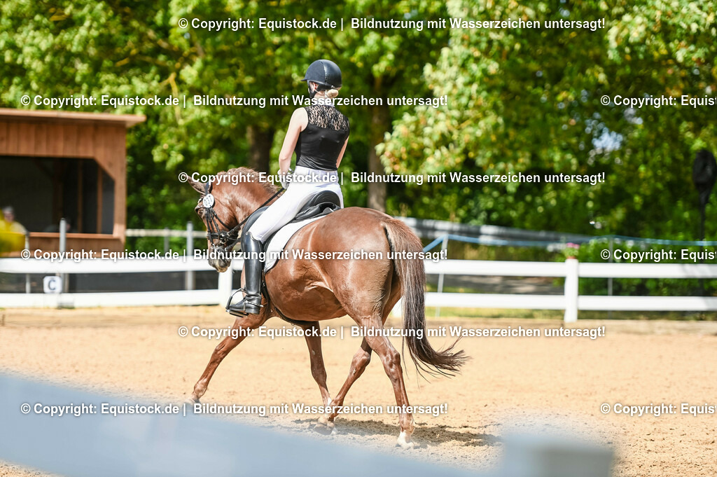 20230716_01_Dressurprüfung Kl.M_0326 | equistock
