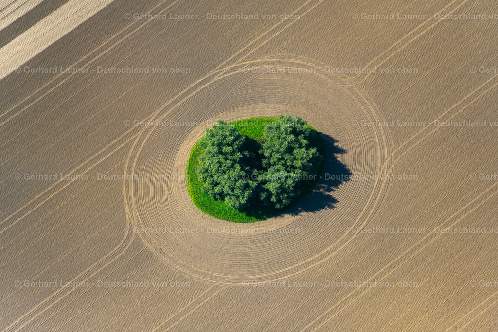 4061727 | NEUENPLEEN 08.09.2021 Acker- Rand eines Soll Biotopes auf einer Feld- Oberfläche in Neuenpleen im Bundesland Mecklenburg-Vorpommern, Deutschland. // Field edge of a target biotope in the field surface in Neuenpleen in the state Mecklenburg - Western Pomerania, Germany. Foto: Gerhard Launer