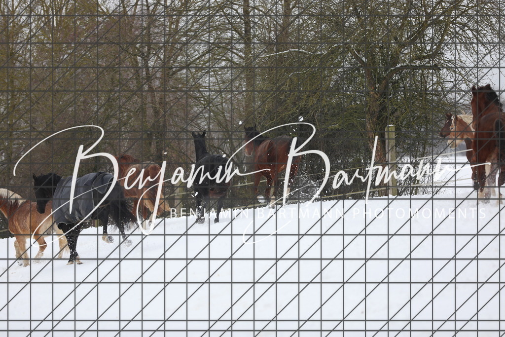 AZ2A3288 | Benjamin Bartmann Photomoments