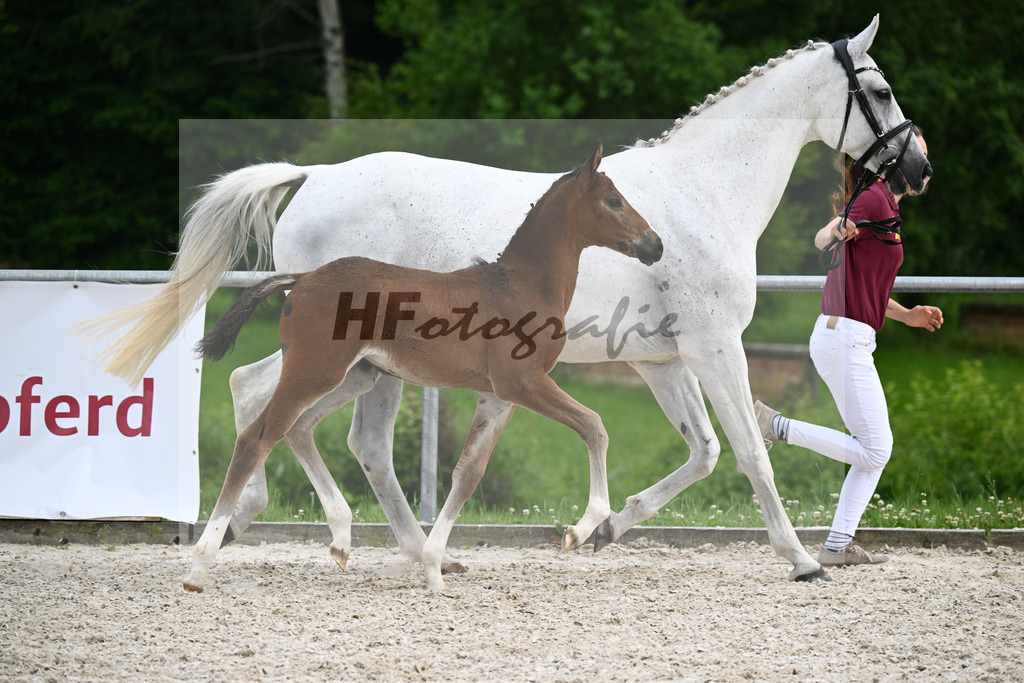 Diacord x Ciacomini_SF_Trukenbrod_20241159 | hf-fotografie - Realisiert mit Pictrs.com