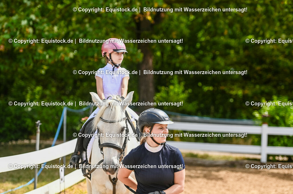 20230716_11_Führzügel-WB_0182 | equistock