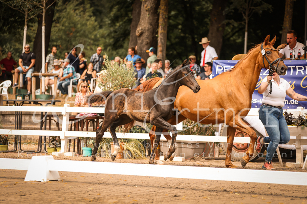 SaPA00141 | Leoni Ertmer Photography - Realisiert mit Pictrs.com