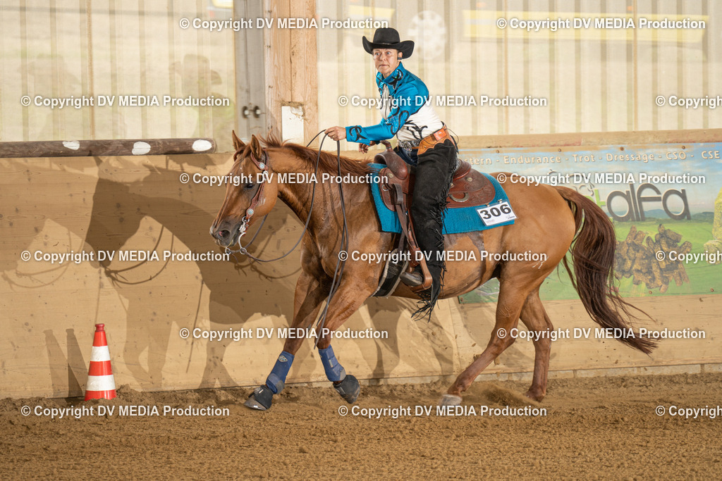 LAU01849 | dv-media-shop - Realisiert mit Pictrs.com