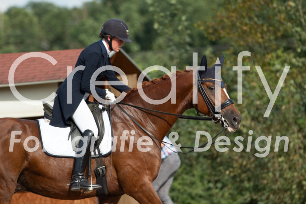 IMG_4201 | Creatify Fotografie