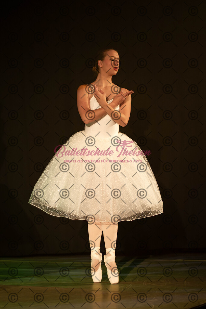 Ballettaufführung-1380 | Bildershop Lem'n Entertainment - Realisiert mit Pictrs.com
