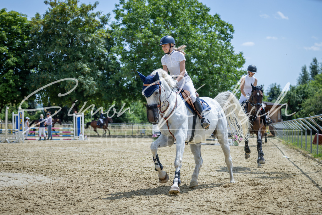 20260704-_3LI9144 | Tierfotografie Pferde, Hunde, Katzen, Haustiere.
Turnierfotografie Reitturniere, Reiten, Springreiten, Dressur in Hanau, dem Main-Kinzig-Kreis und dem Rhein-Main- Gebiet um Frankfurt