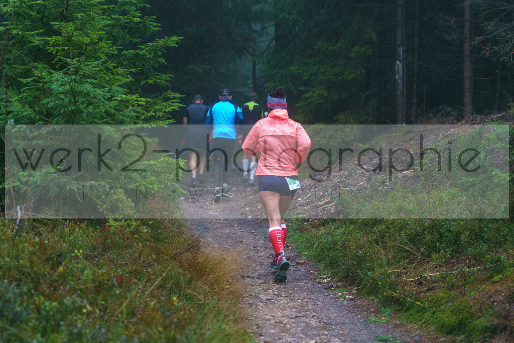 Herbstlauf | Herbstlauf am 1. &amp; 2. Oktober 2022 unter Corona-Bedingungen - Start Masserberg und Neuhaus