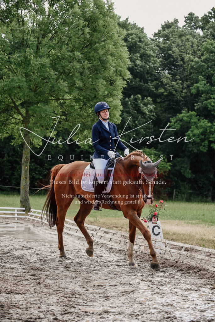 DSC_9894 | Pferde- und Turnierfotografie in Westsachsen. Pferdeportraits, Auftragszeichnungen und intuitive Kunst.