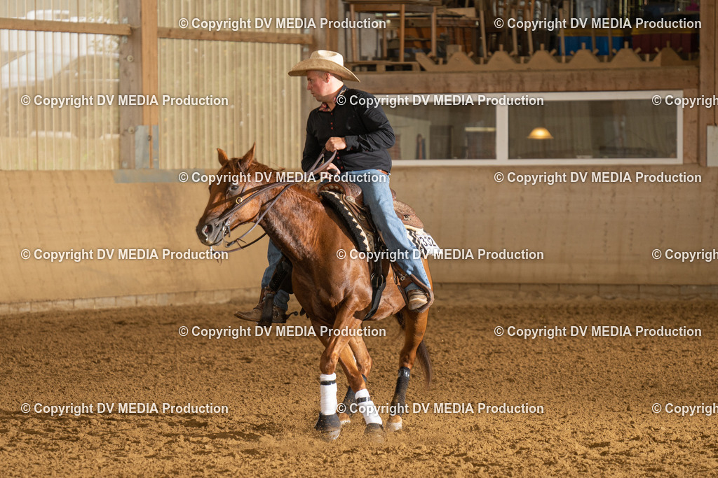 LAU00781 | dv-media-shop - Realisiert mit Pictrs.com