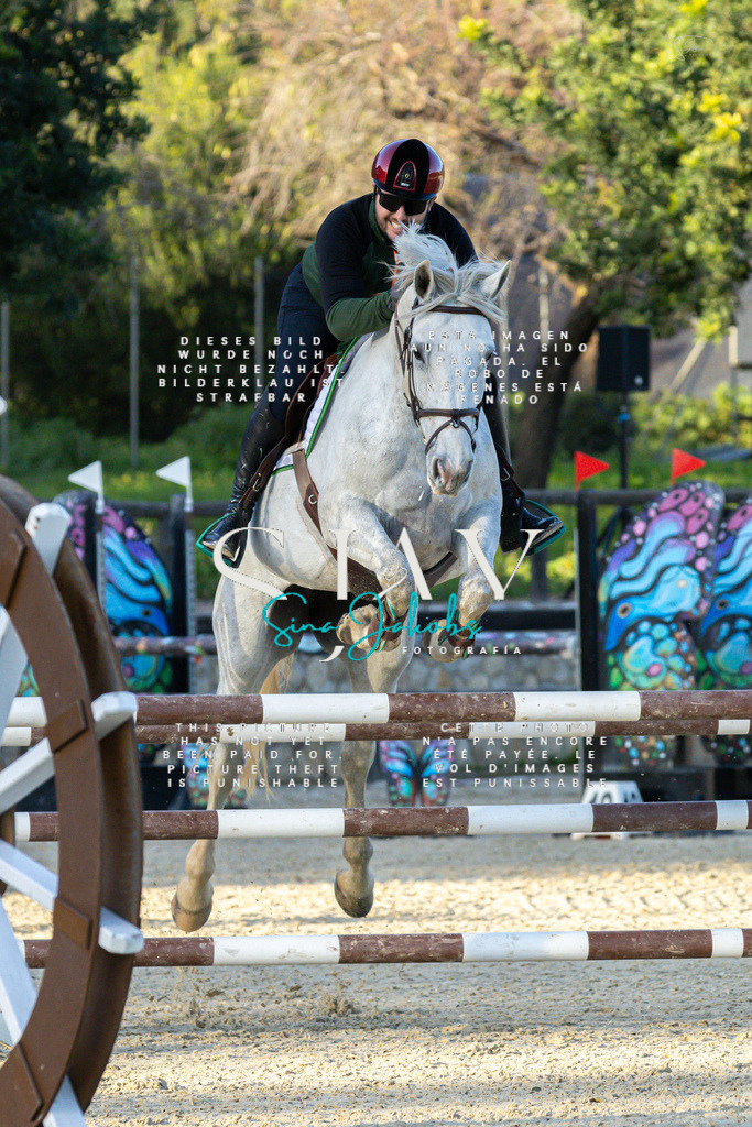 IMG_2293 | s-jay-photography - Realisiert mit Pictrs.com