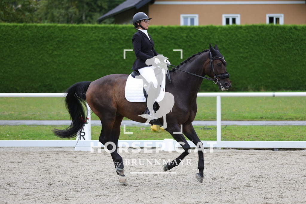 0P6A8485 | Willkommen bei Brunnmayr - Design & Fotografie – Ihrem Spezialisten für Reitturniere und Pferdeveranstaltungen in Oberösterreich, Salzburg und Bayern! Seit über 17 Jahren sind wir leidenschaftlich dabei.