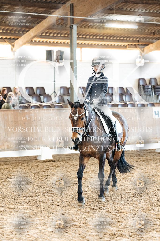 CK900353 | Turnierfotografie Pferdefotografie Trier Rheinland-Pfalz Pferdesport Reitsport Tierfotografie Sportfotografie Pferdevideo Pferdevideografie Equestrianvideography equestrianphotography  - Realized with Pictrs.com