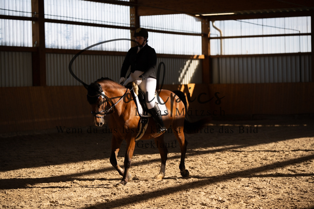 A7V01779 | Turnier/Reitfotograf