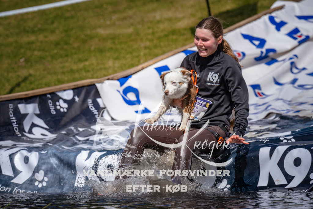 _ZZ950741005 | kk-dogfotos