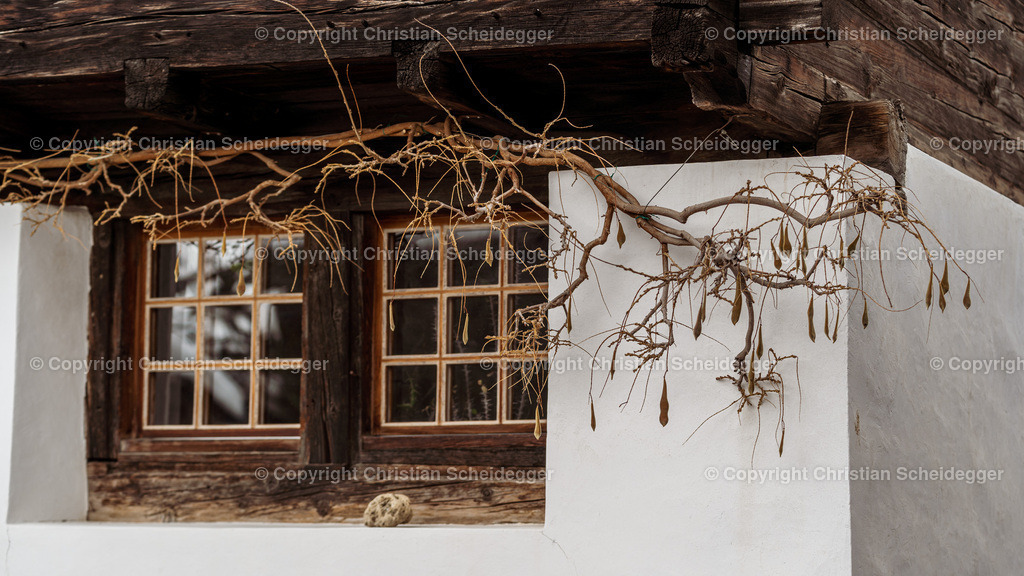 CS102335 | Entdecke hochwertige Fine Art Prints und Fotografien vom professionellen Fotografen aus Luzern. Jedes Motiv wird mit Liebe zum Detail aufgenommen, sorgfältig bearbeitet und in bester Qualität gedruckt – perfekt für Wohnräume, Büros oder als besonderes Ges - Realisiert mit Pictrs.com