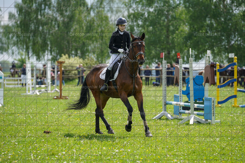 20240509-FAH02340 | Turnierbilder der Turnierfotografen Bayern, Pferdesport Fotografie, Reitsportbilder, Turnier Landberg am Lech, Turnierbilder bayern, Fotoagentur Herrmann