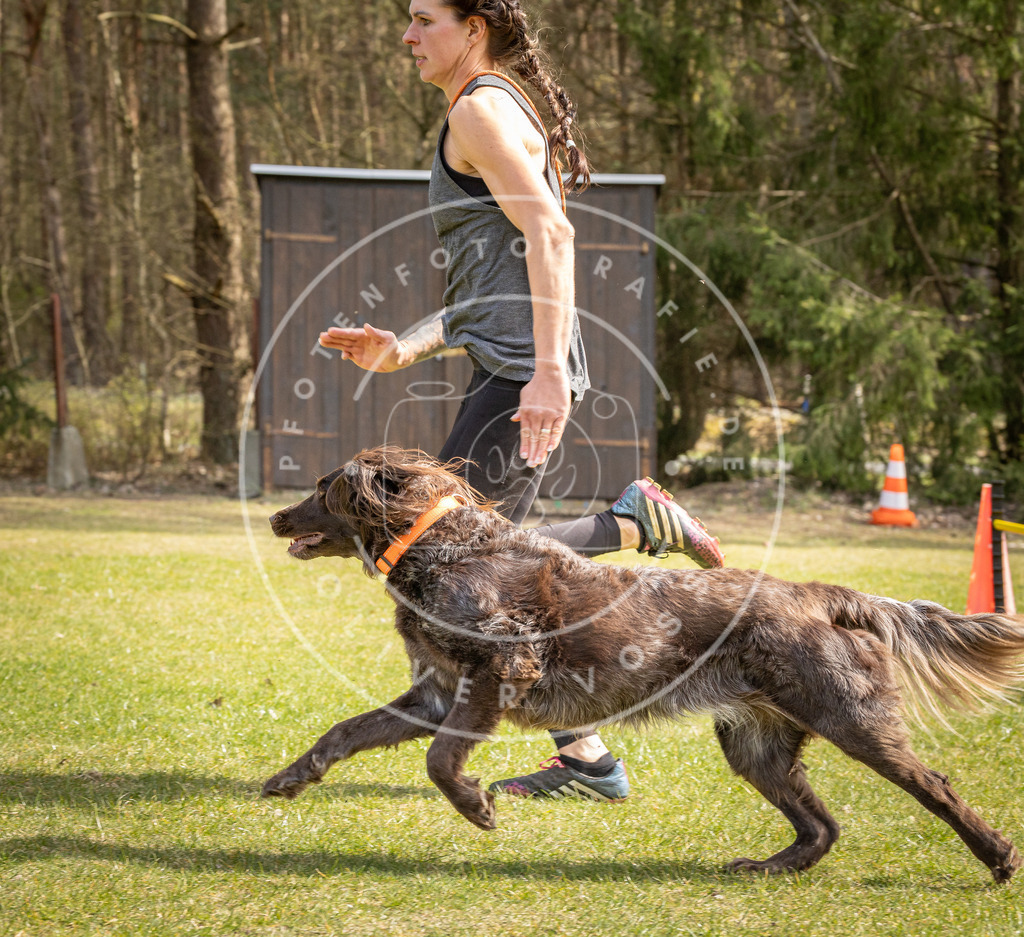 Pfotenfotografie_DV3A6239 | Hundefotografie, Tierfotograf, Pfotenfotografie, Fotoshooting Hund, Hunde Portrait, Hundesport, Hundeportraits, Heideshooting, Hunde, Sportfotograf, Hundefotograf, Turnierhundsport, THS,  - Realisiert mit Pictrs.com