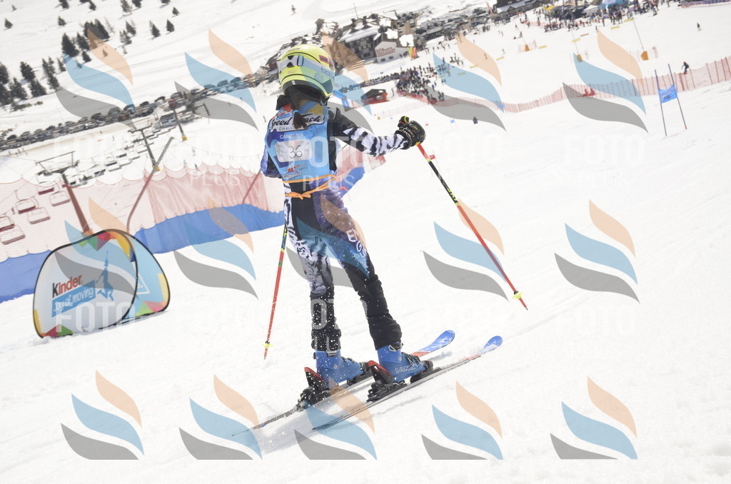 _ELE8666 | holidayphoto