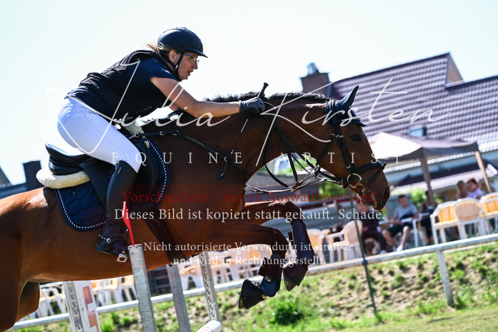 DSC_1439 | Pferde- und Turnierfotografie in Westsachsen. Pferdeportraits, Auftragszeichnungen und intuitive Kunst.