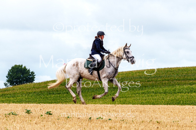 Jagd Knoop 26_MarinaHewigMCH02347 | Fotografie, FotoArt, PferdesportArt, Pferdesportfotografie, Landschaftsfotografie, Reisefotografie, Reise, Pferde - Realisiert mit Pictrs.com