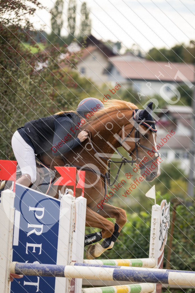 CON_7002 | Sport-, Event- und Tierfotos in Profiqualität. Einfach auswählen, bestellen und herunterladen. Dein Moment – perfekt festgehalten.
