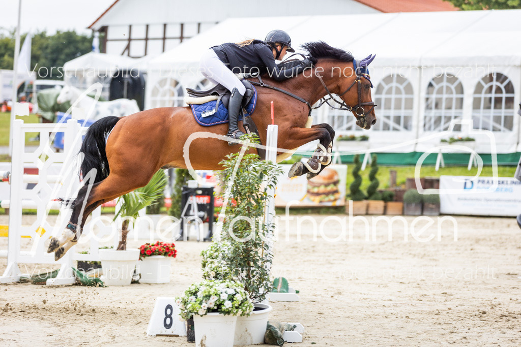 BHO-2PhSpr-M-343 | MomenTaufnahmen Pferdesportfotos