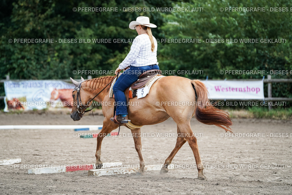 DSC05865 | Pferdegrafie