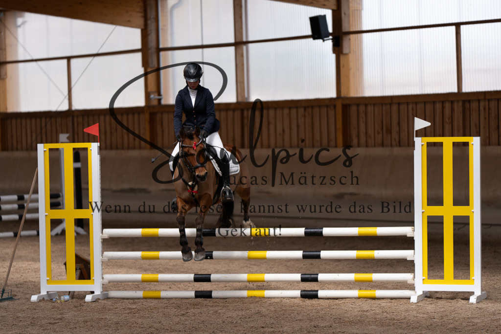 A7507521 | Pferdefotograf