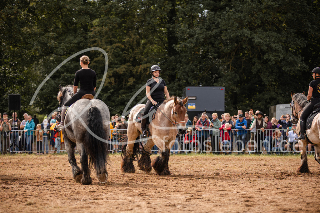 846A3981 | fotosleben - Realisiert mit Pictrs.com