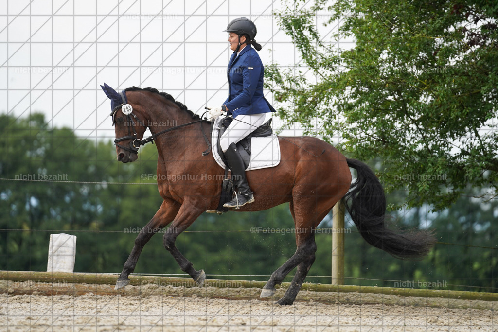 20230826-FAH04432 | Forstinning, 2023, Dressurturnier, Turniersportbilder, Turnierfotografen Bayern, Fotoagentur Herrmann, Reitsportfotografie, Turnierbilder