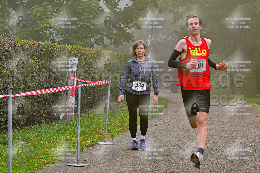 Z8N_1219 | la-psv - Realisiert mit Pictrs.com