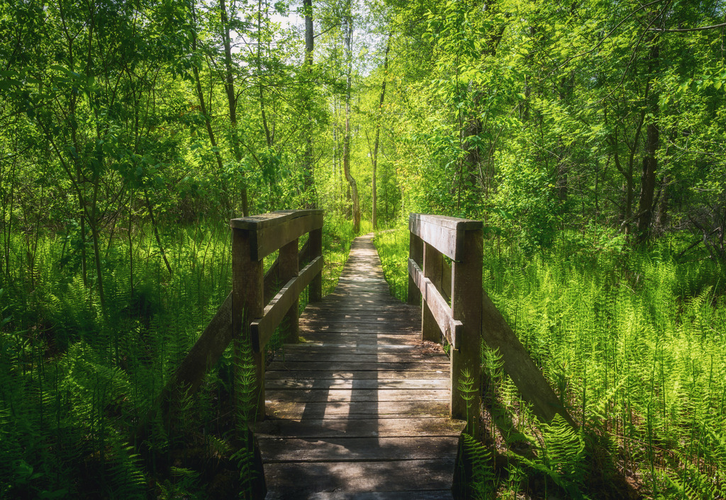 Poleski Nationalpark 1 | Polen - Realisiert mit Pictrs.com