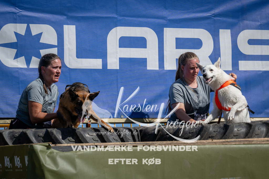 1127_ZZ91694 | kk-dogfotos