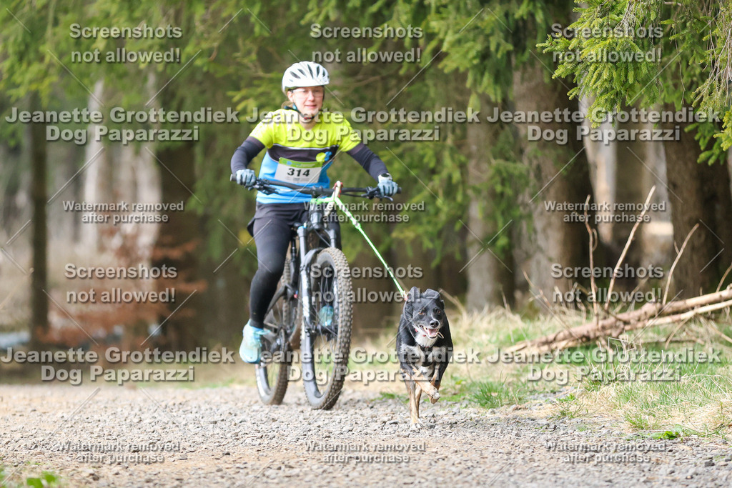 Dog Paparazzi - VCC26-598 | Dog Paparazzi Jeanette Grottendiek Fotografie & Videografie - Realisiert mit Pictrs.com