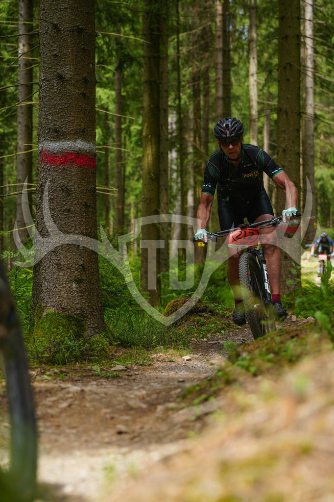FC603729 | Fotogalerie der Treibjagd im Dunkelwald - Dein MTB Etappenrennen im Erzgebirge - Realisiert mit Pictrs.com