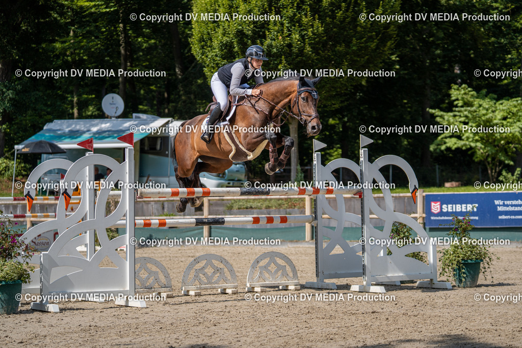 Hessische Tag 1-1628 | dv-media-shop - Realisiert mit Pictrs.com