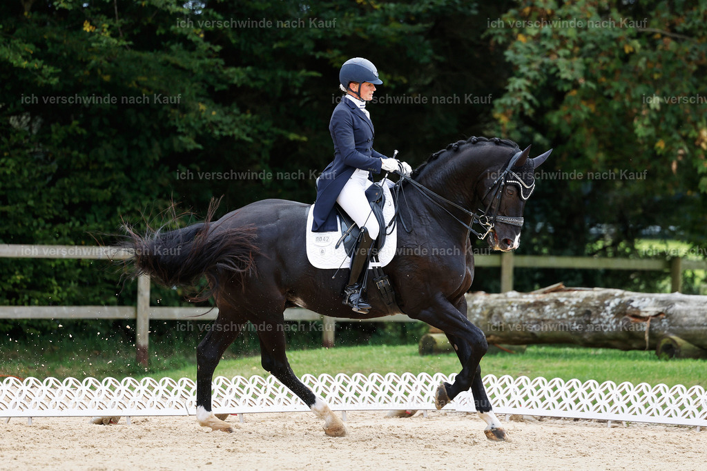 11-042-Dressur S___-StoibPH-1156 | working equitationturnier fotograf videograf stoibphotography marixx film working equitation deutschland reitsport turnierfotografie eventfotografie equestrian events