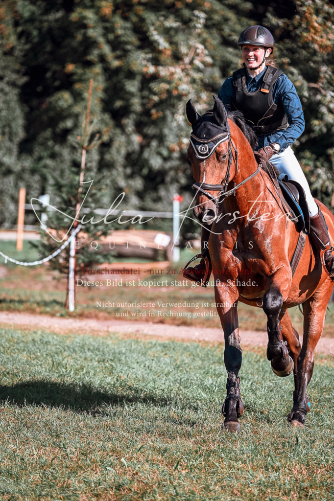 DSC_0573 | Pferde- und Turnierfotografie in Westsachsen. Pferdeportraits, Auftragszeichnungen und intuitive Kunst.