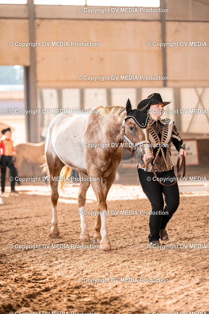 LM Heiligenwald Tag 1-47 | dv-media-shop - Realisiert mit Pictrs.com