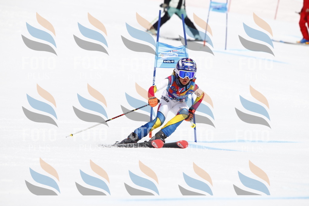 _U3G5548 | holidayphoto