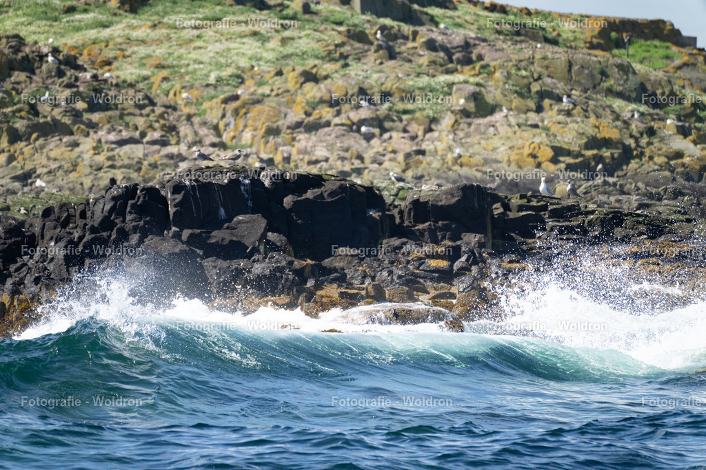 20230815 Isle of Sky - St.Andrews - Dundee-38 | Fotografie Woldron