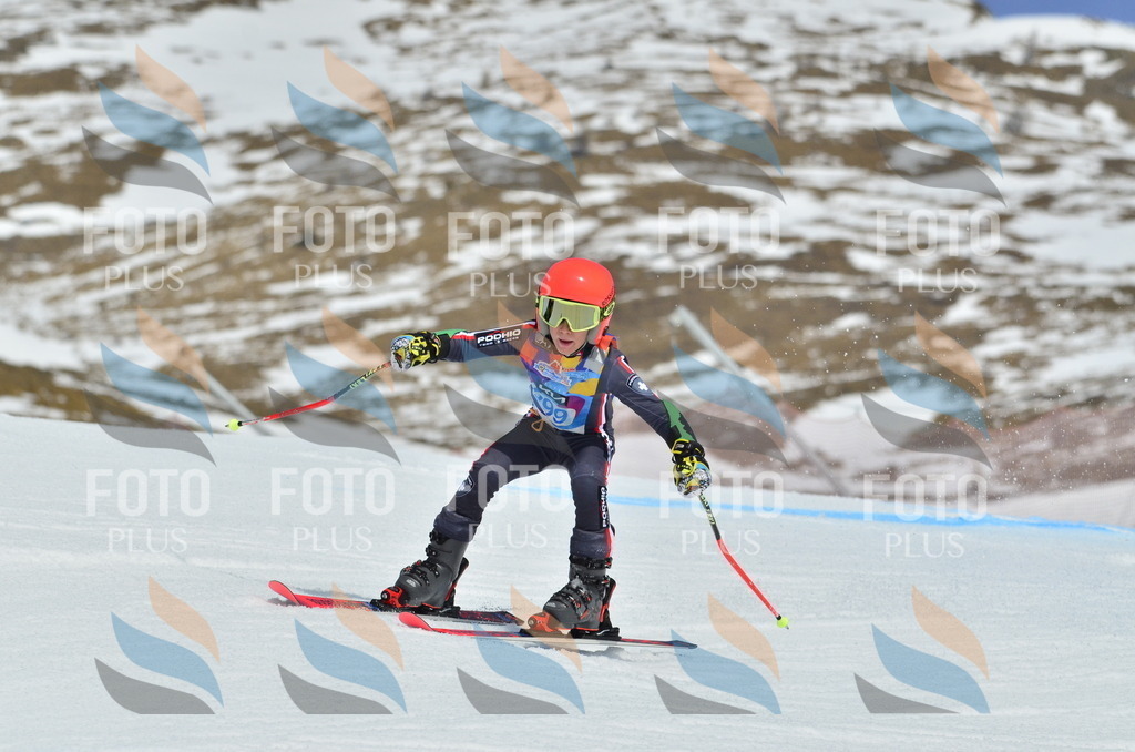 _ELE2168 | holidayphoto