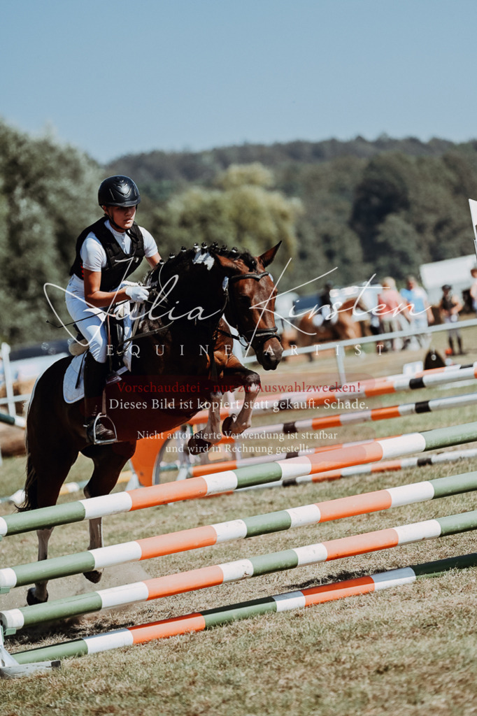 DSC_9895 | Pferde- und Turnierfotografie in Westsachsen. Pferdeportraits, Auftragszeichnungen und intuitive Kunst.