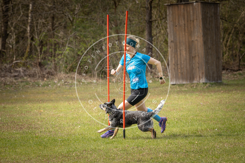 Pfotenfotografie_DV3A7599 | Hundefotografie, Tierfotograf, Pfotenfotografie, Fotoshooting Hund, Hunde Portrait, Hundesport, Hundeportraits, Heideshooting, Hunde, Sportfotograf, Hundefotograf, Turnierhundsport, THS,  - Realisiert mit Pictrs.com