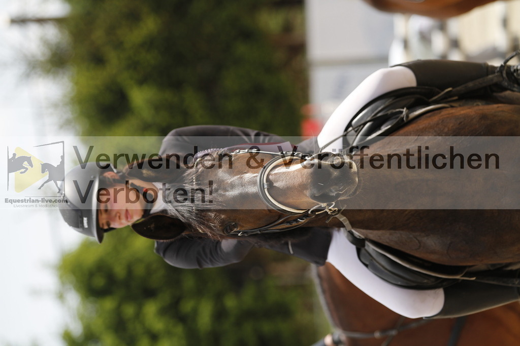 _MG_9441 | equestrian-live-com
