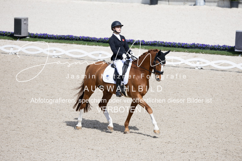 126A0253 | jasminmetznerfotografie