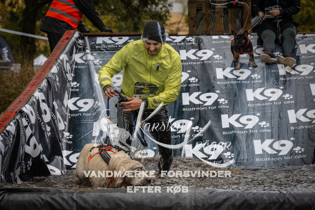 1202_ZZ94107 | kk-dogfotos