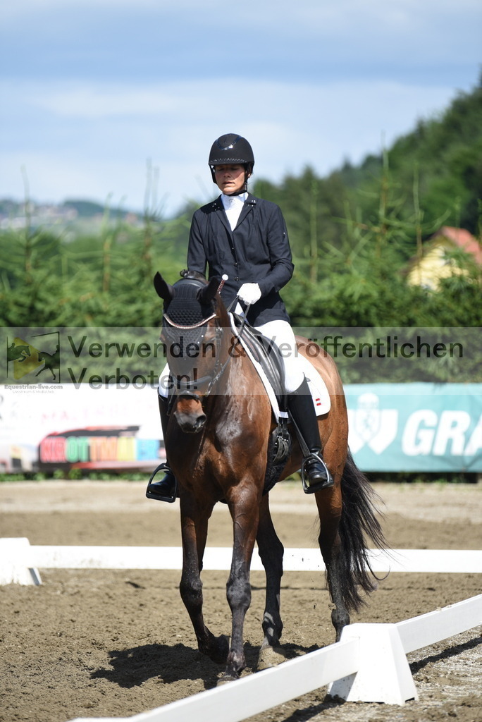 DSC_0052 | equestrian-live-com