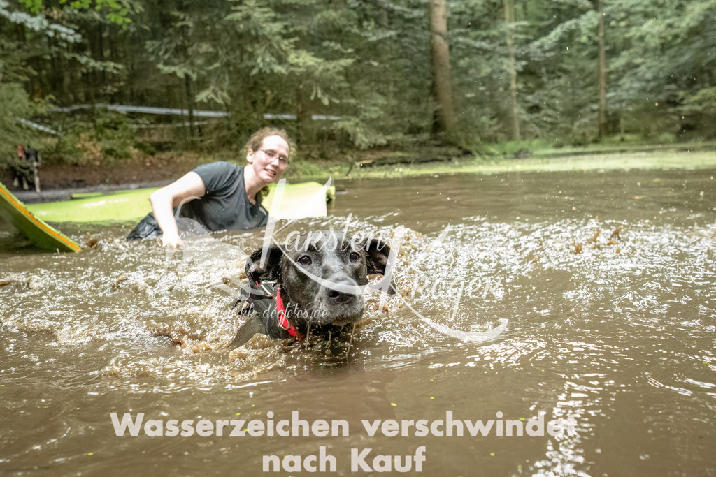 1453_ZZ94176-Bearbeitet | kk-dogfotos